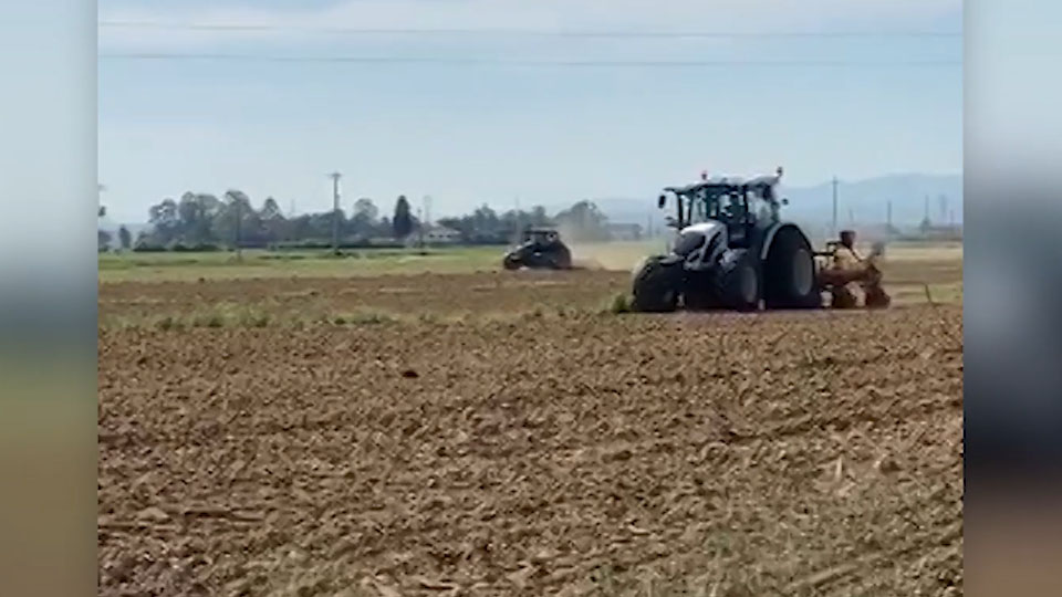 Fertibio, maggio 2020. Semina di girasole con inoculo di funghi micorrizici arbuscolari e batteri