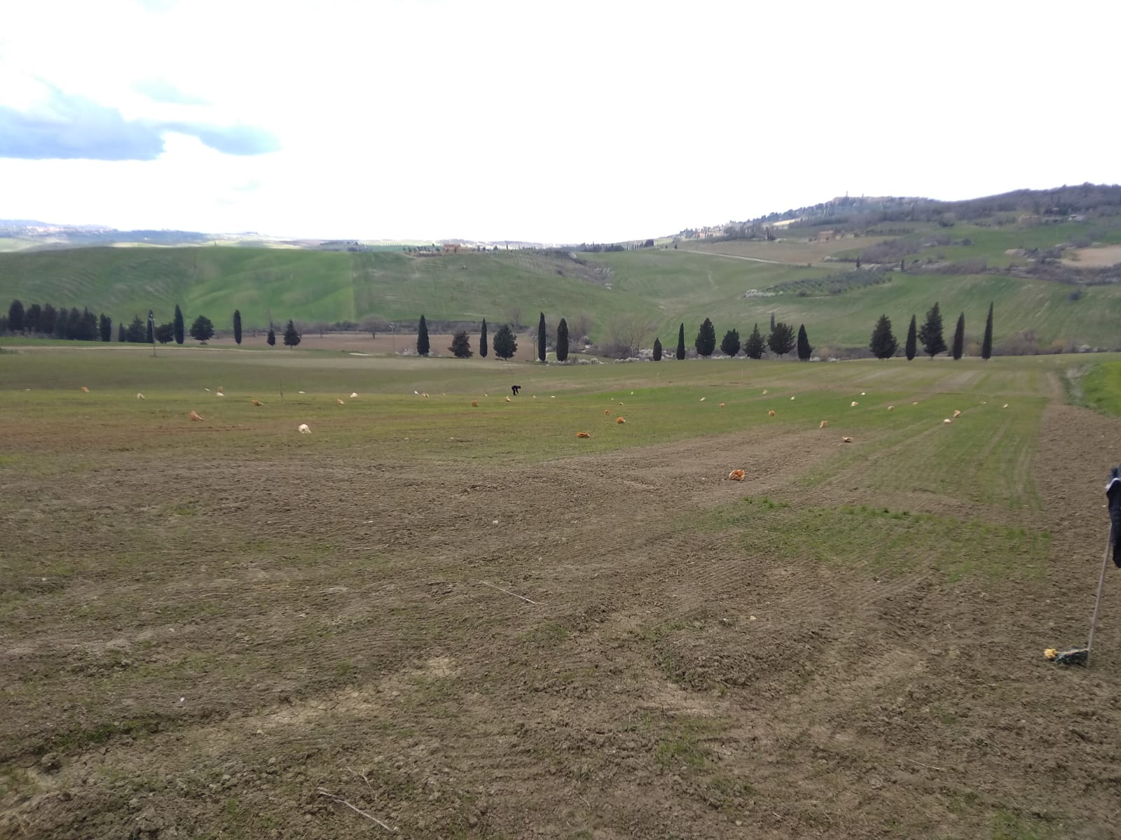 fertibio_grano_20210320_02