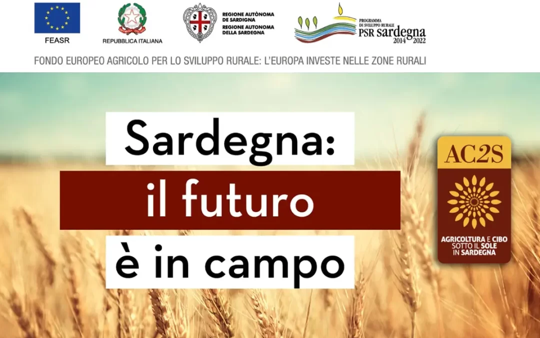 Funghi micorrizici e batteri: pratiche sostenibili per migliorare la produttività del frumento duro in Sardegna